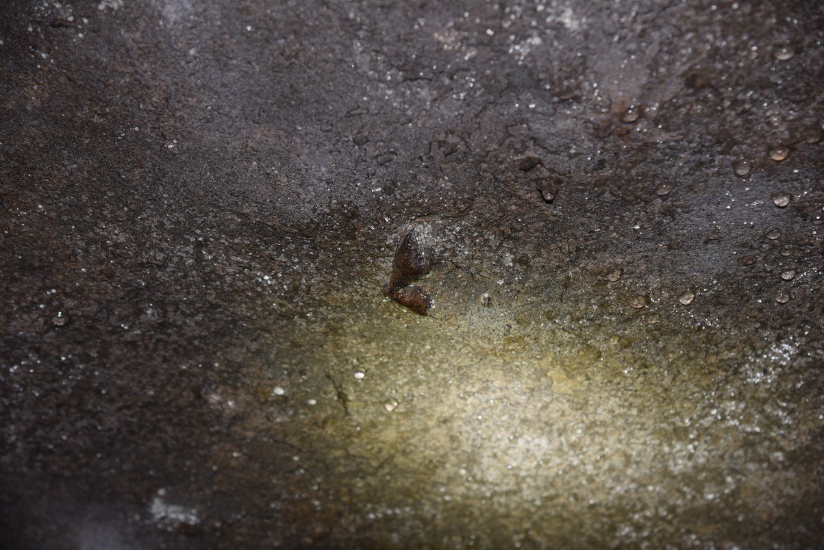 dsc_5401_fs.jpg