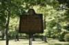 dsc_5419_fs_small.jpg