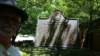 dsc_5420_fsc_small.jpg