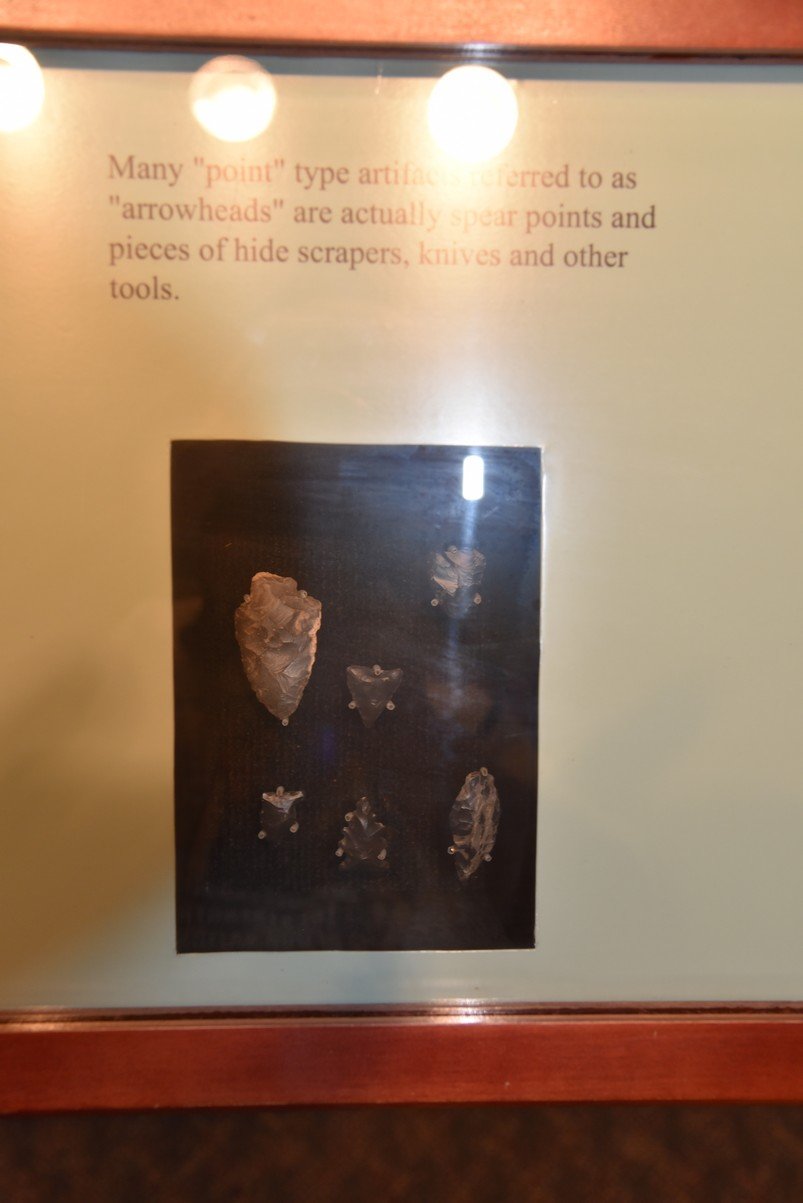 dsc_5434_fs.jpg