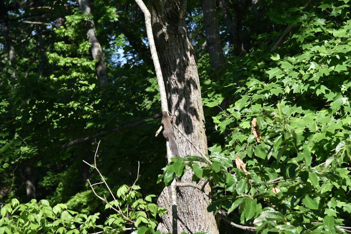 dsc_5543_fs.jpg