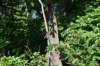 dsc_5543_fs_small.jpg