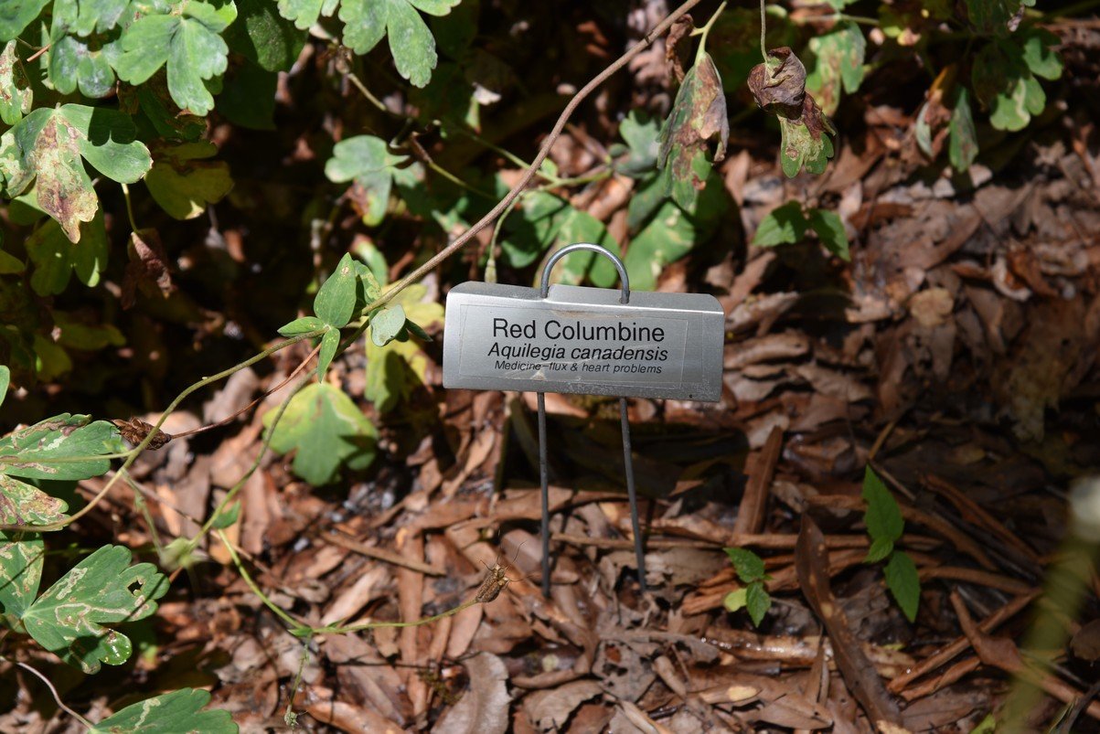 dsc_5690_fs.jpg