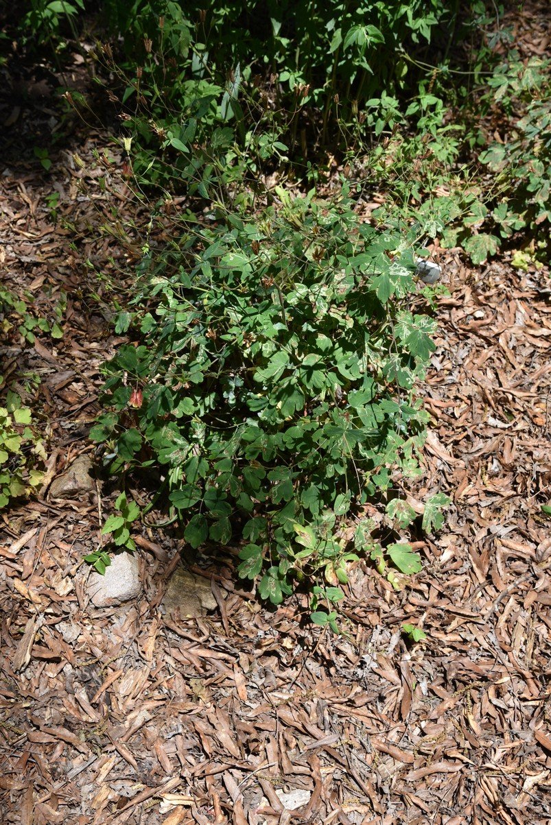 dsc_5698_fs.jpg