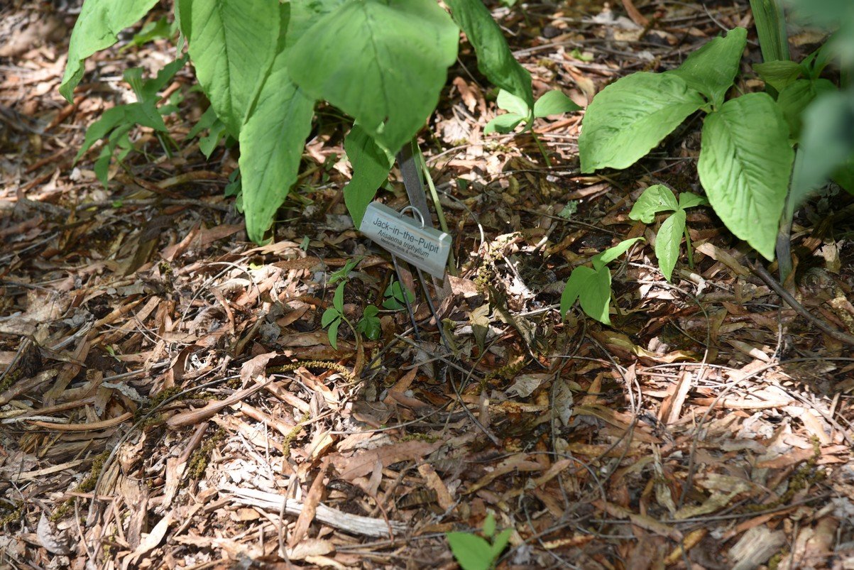 dsc_5754_fs.jpg