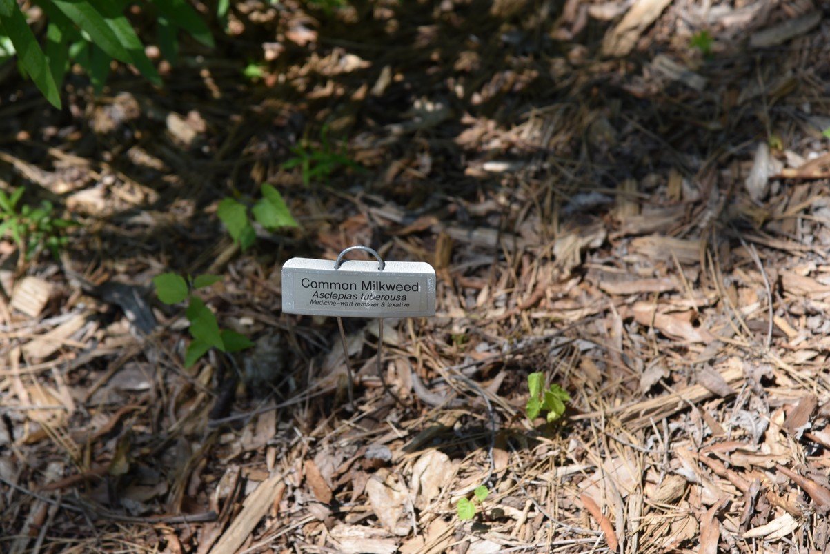 dsc_5760_fs.jpg