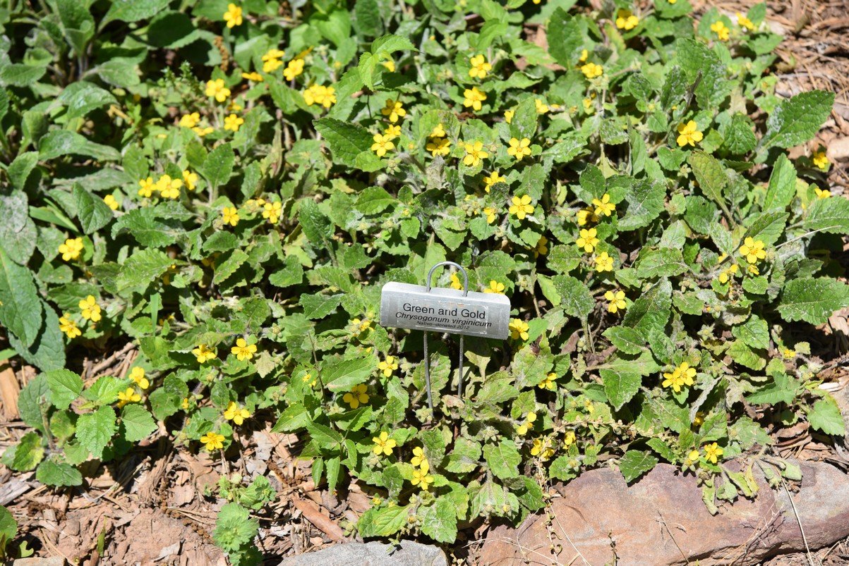 dsc_5765_fs.jpg