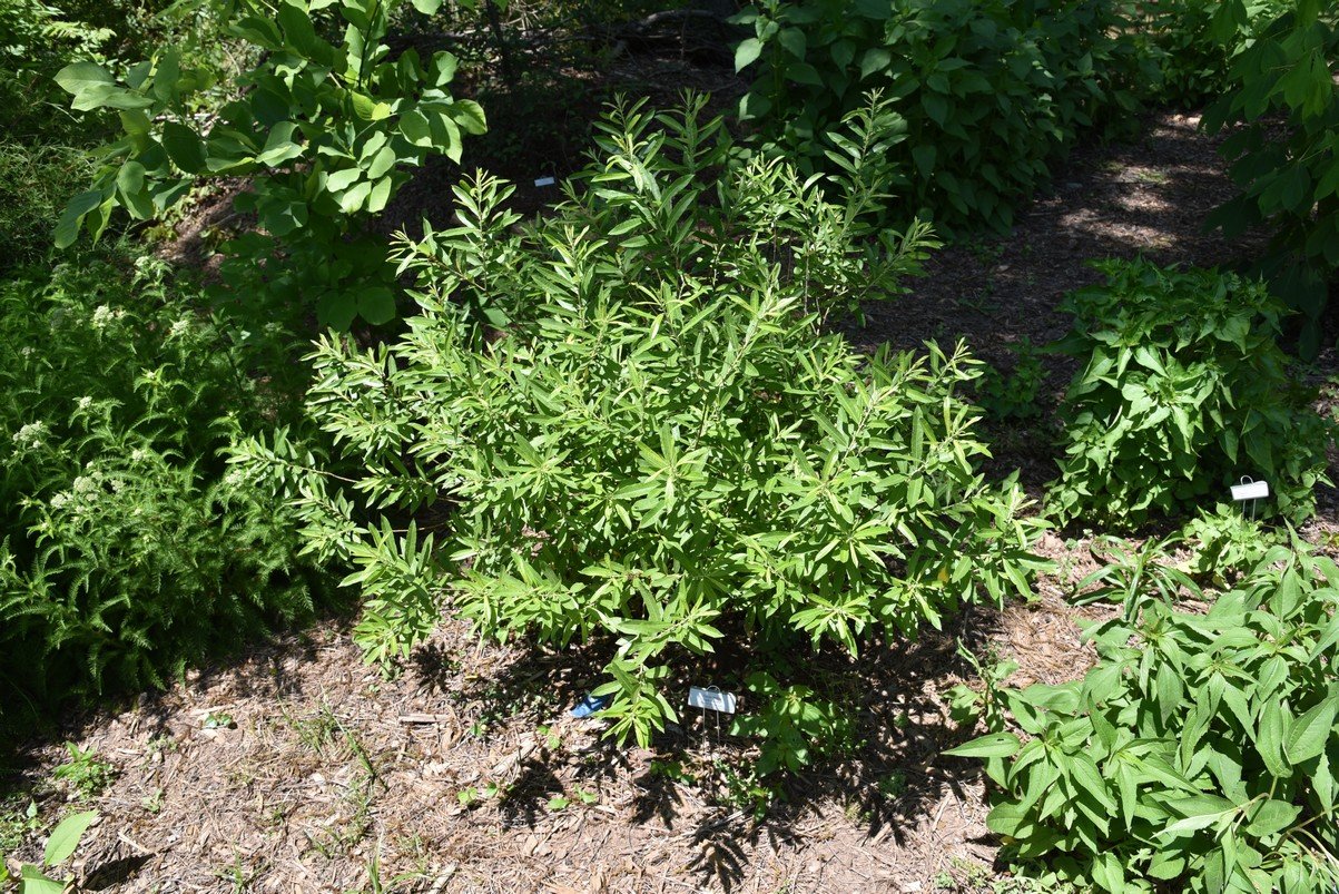 dsc_5777_fs.jpg