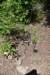 dsc_5784_fs_small.jpg