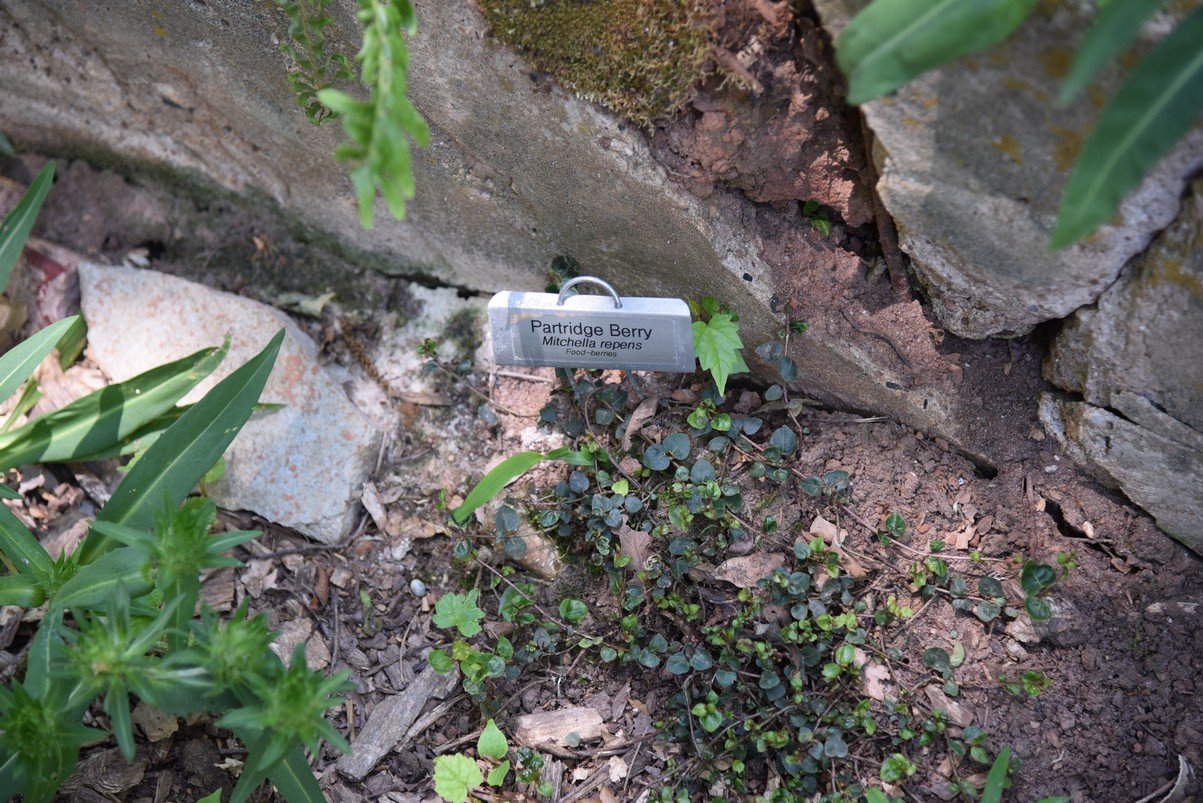 dsc_5790_fs.jpg