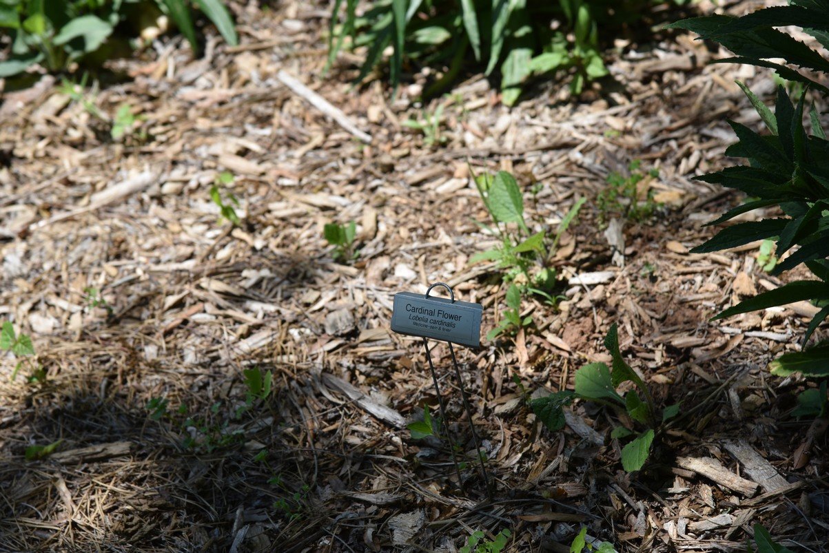 dsc_5792_fs.jpg