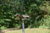 dsc_5818_fs_small.jpg