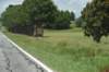 dsc_5825etowahmounds_small.jpg