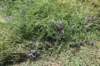 dsc_5852_fs_small.jpg