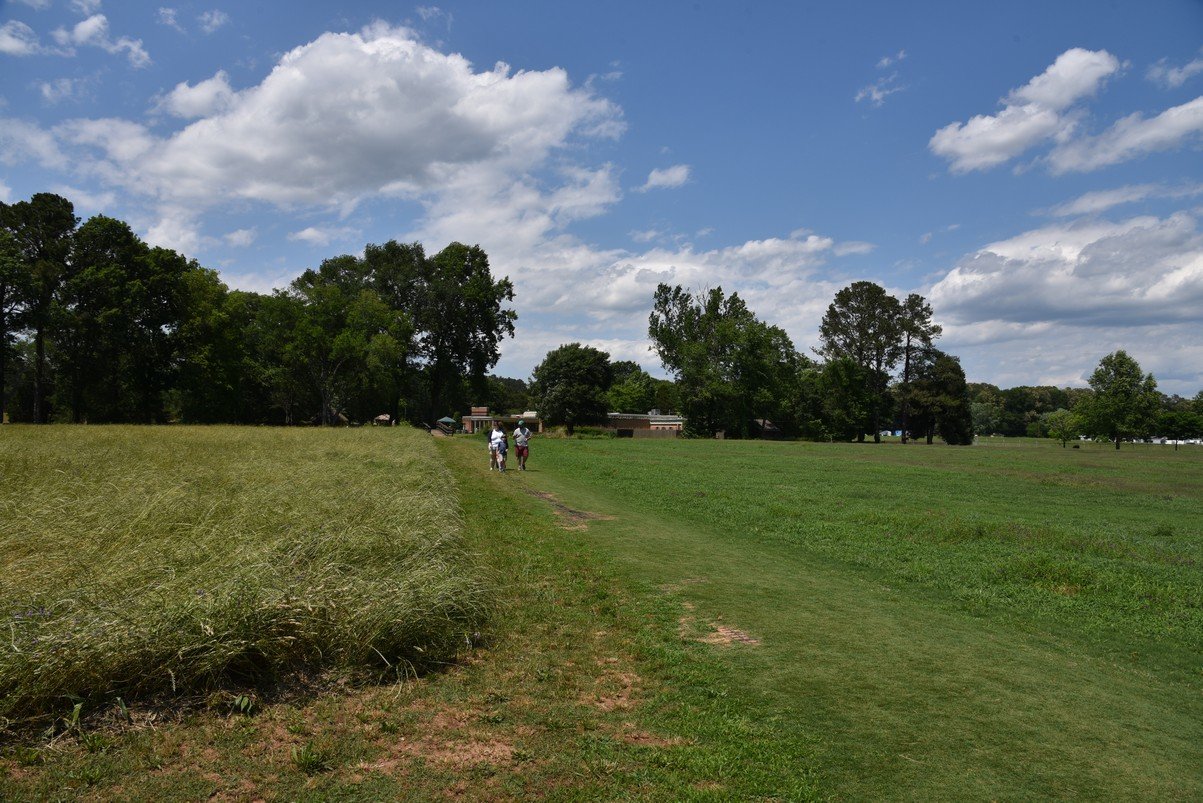dsc_5869_fs.jpg