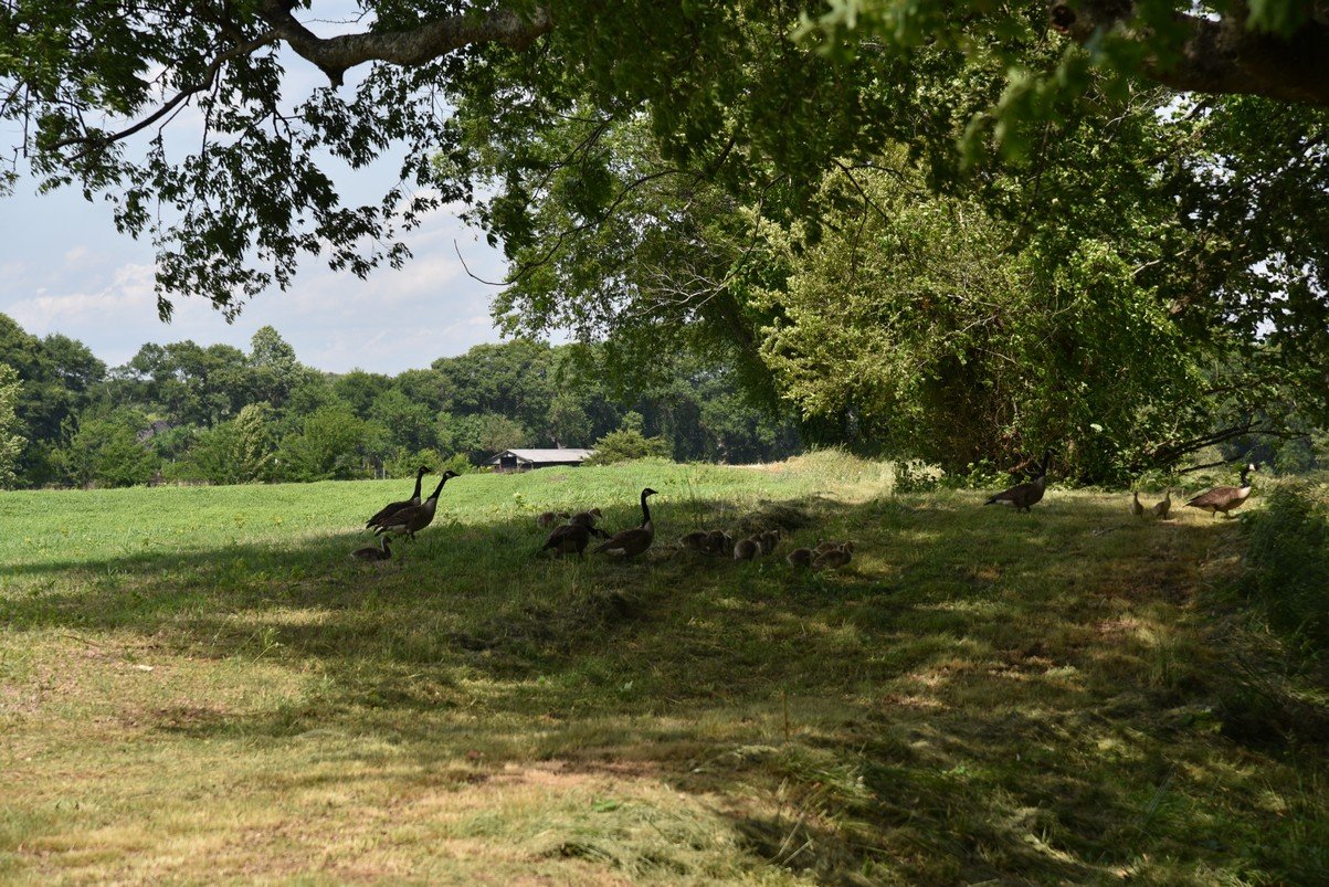 dsc_5917_fs.jpg