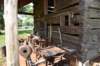 dsc_6084_fs_small.jpg