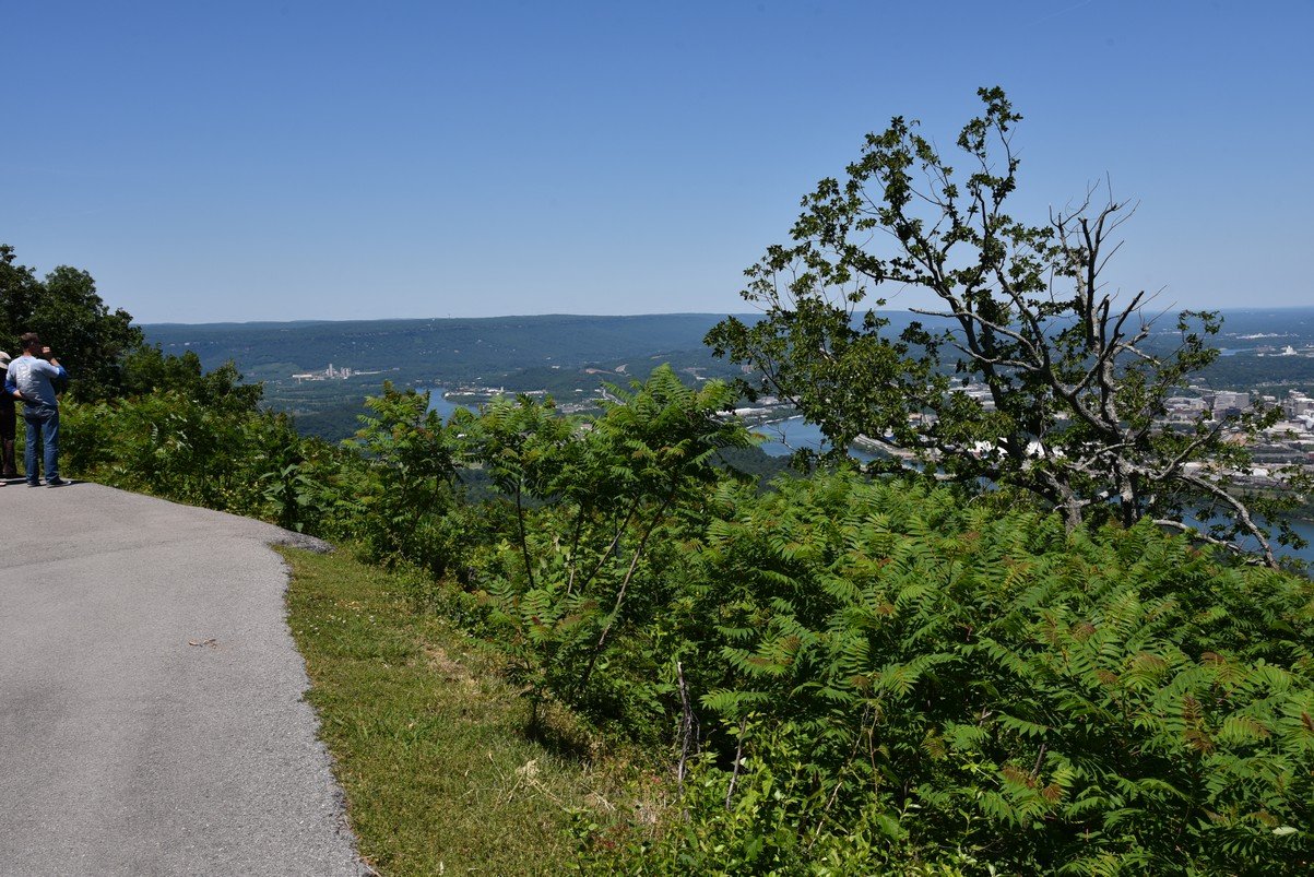 dsc_6216_fs.jpg
