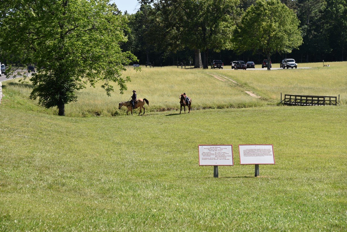 dsc_6338_fs.jpg