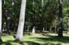 dsc_6345_fs_small.jpg