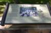 dsc_6349_fs_small.jpg