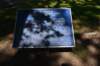 dsc_6351_fs_small.jpg