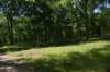 dsc_6354_fs_small.jpg