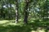 dsc_6356_fs_small.jpg