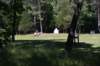 dsc_6359_fs_small.jpg