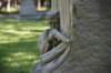 dsc_6362_fs_small.jpg