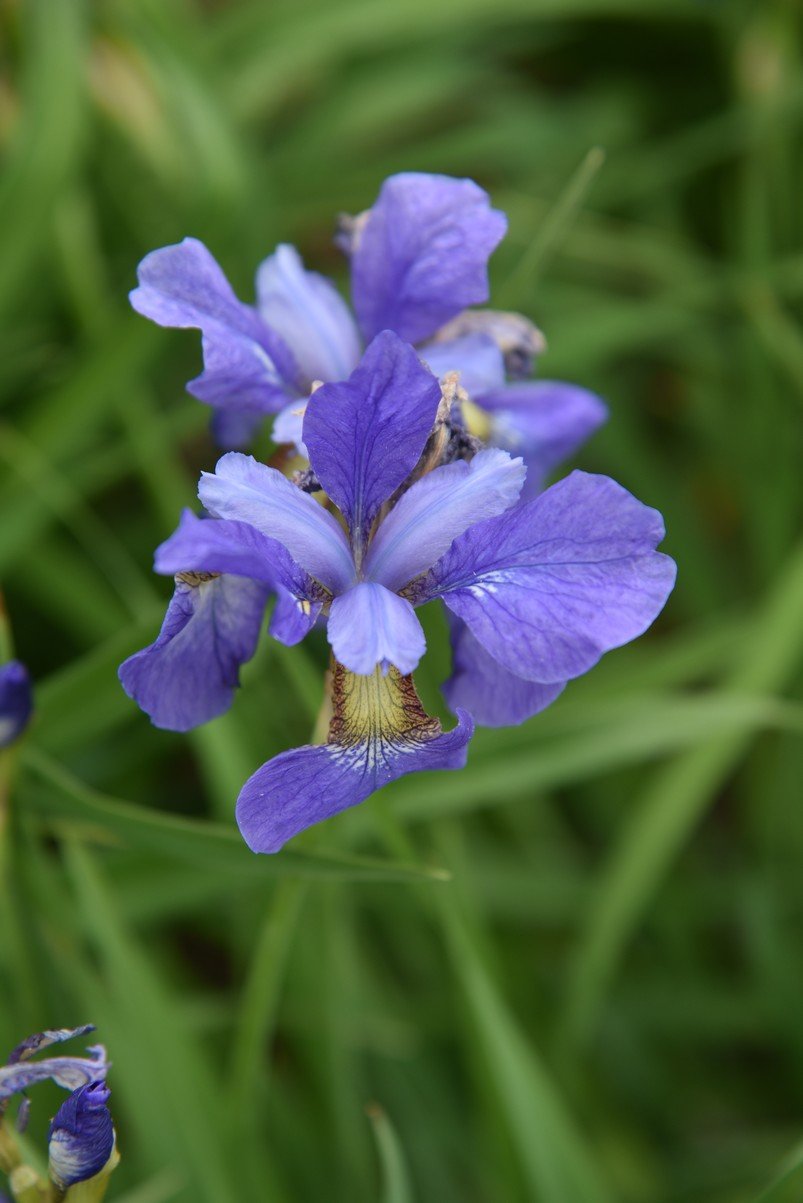 dsc_6869_fs.jpg