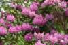 dsc_6886_fs_small.jpg