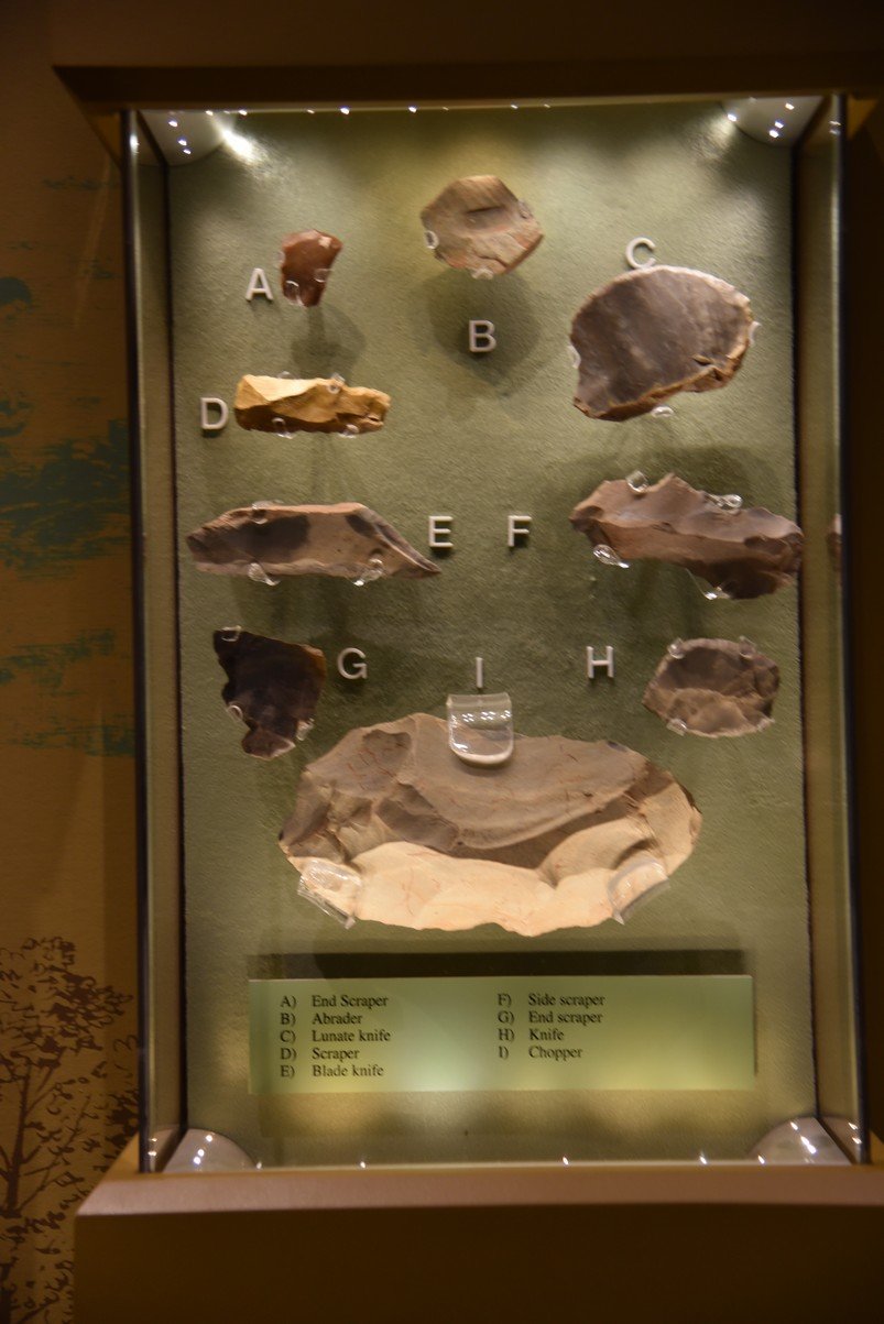 dsc_6902_fs.jpg