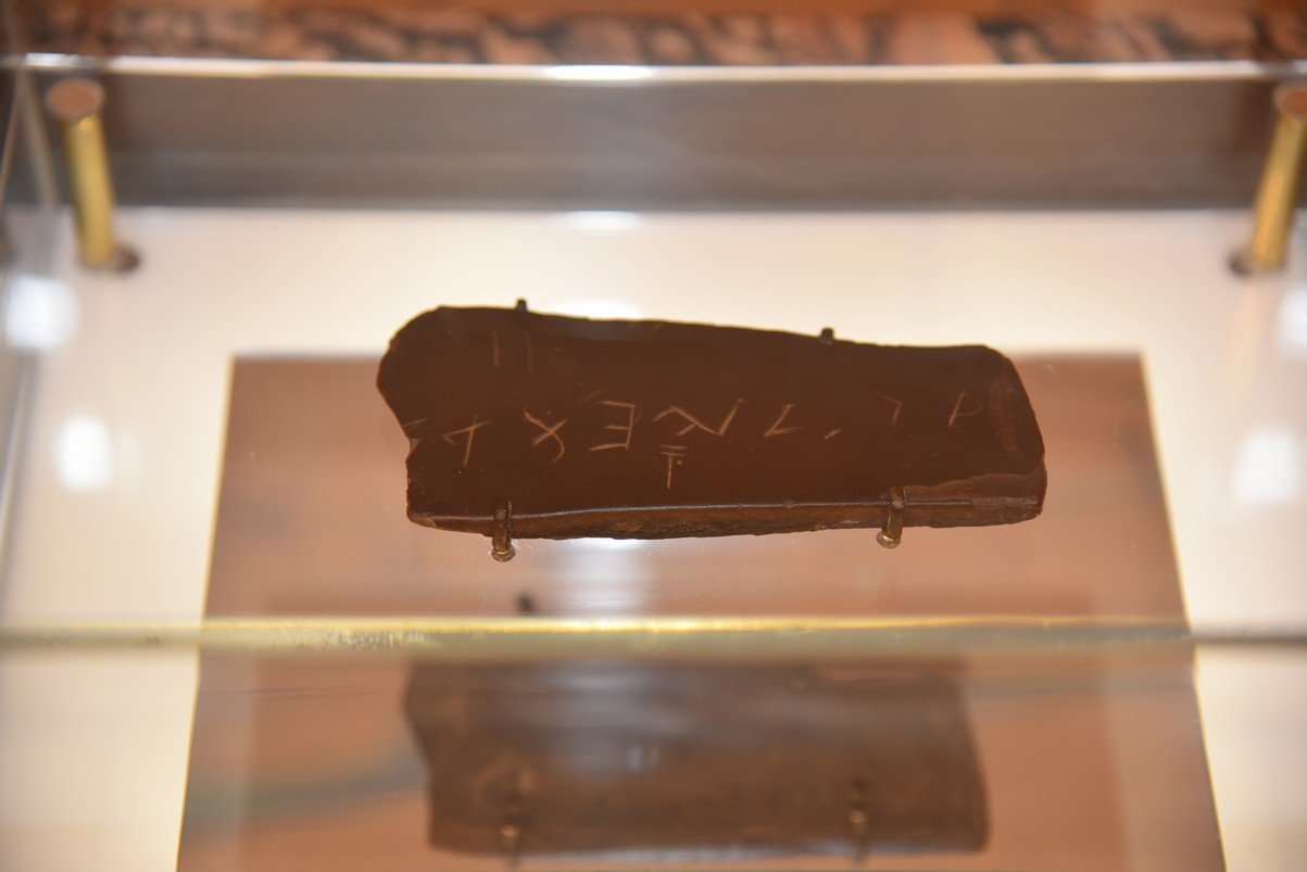 dsc_6905_fs.jpg