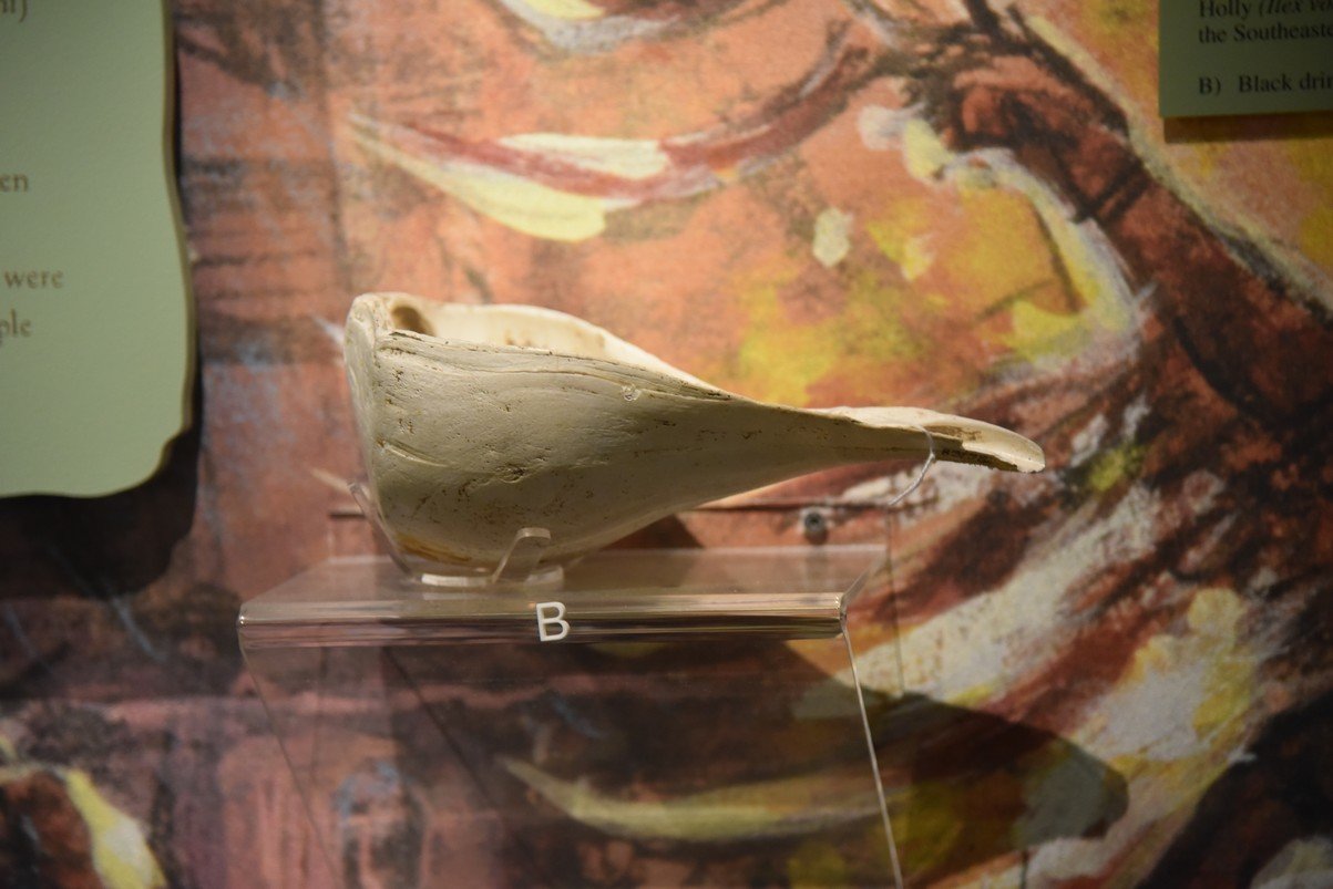 dsc_6908_fs.jpg
