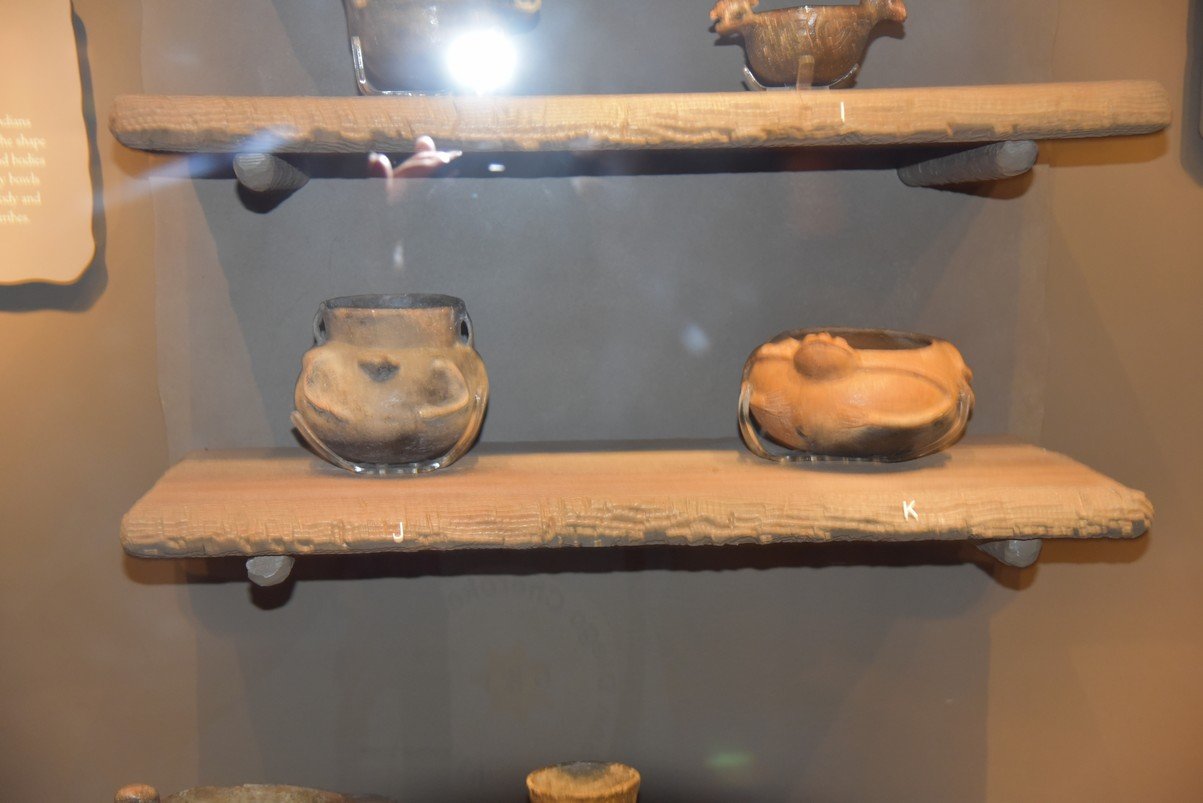 dsc_6932_fs.jpg