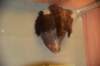 dsc_6967_fs_small.jpg