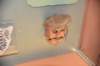 dsc_6974_fs_small.jpg