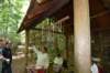 dsc_7000_fs_small.jpg