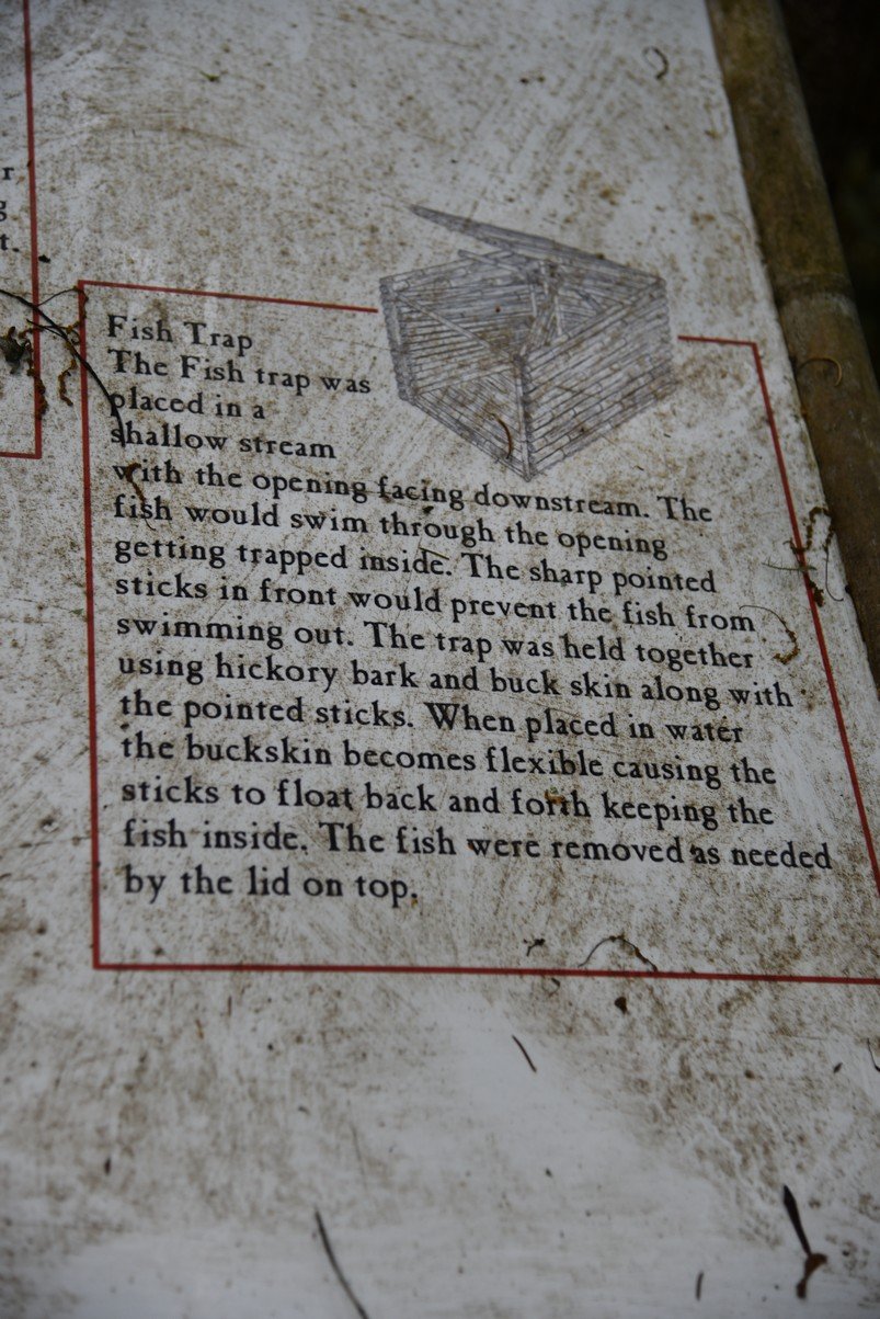 dsc_7030_fs.jpg