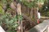 dsc_7031_fs_small.jpg