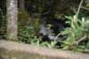 dsc_7077_fs_small.jpg
