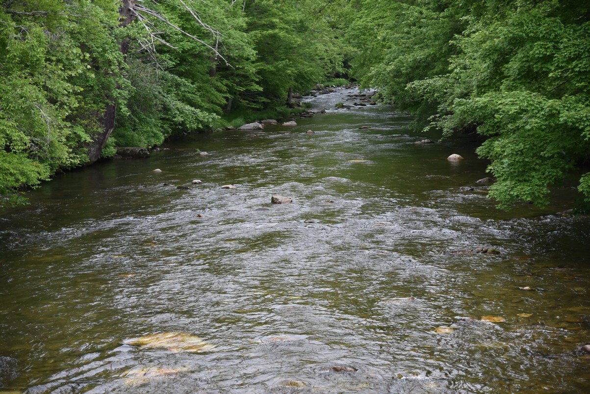 dsc_7079_fs.jpg