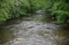dsc_7079_fs_small.jpg