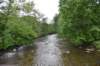 dsc_7080_fs_small.jpg