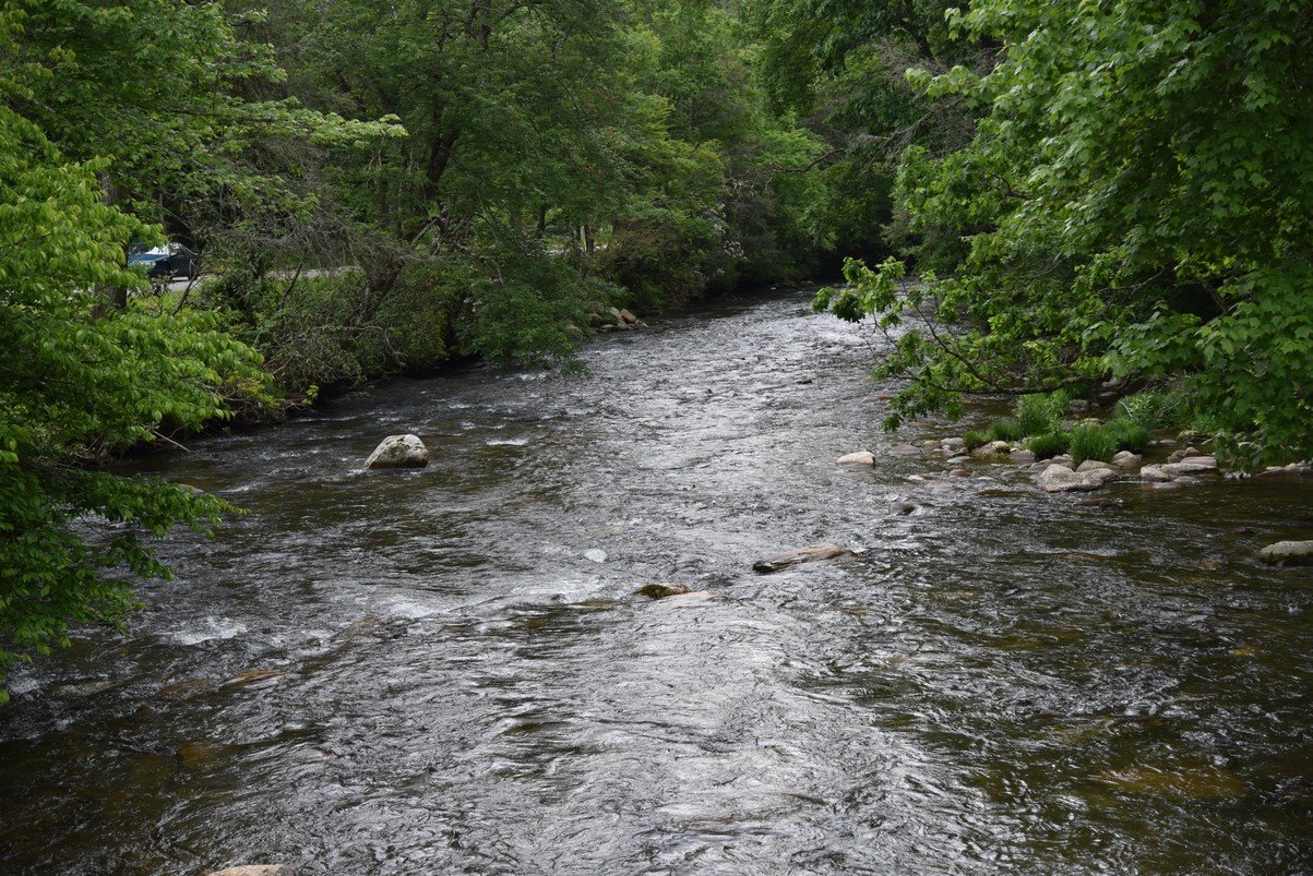 dsc_7081_fs.jpg