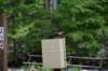 dsc_7090_fs_small.jpg