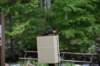dsc_7091_fs_small.jpg