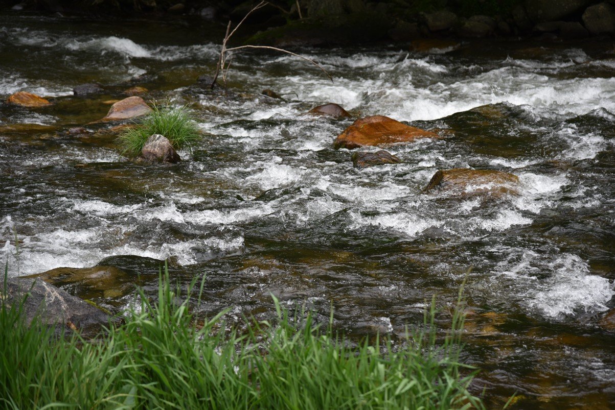 dsc_7094_fs.jpg