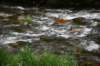 dsc_7094_fs_small.jpg